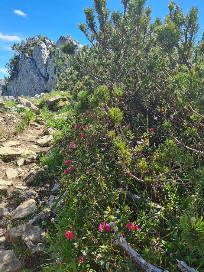 Johannas Alm Garmisch-Partenkirchen Zewnętrze zdjęcie